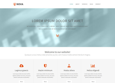 网页版手机号攻击